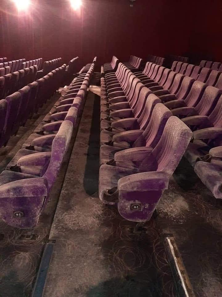 Kursi-kursi Bioskop Dipenuhi Jamur Setelah Lockdown 2 Bulan