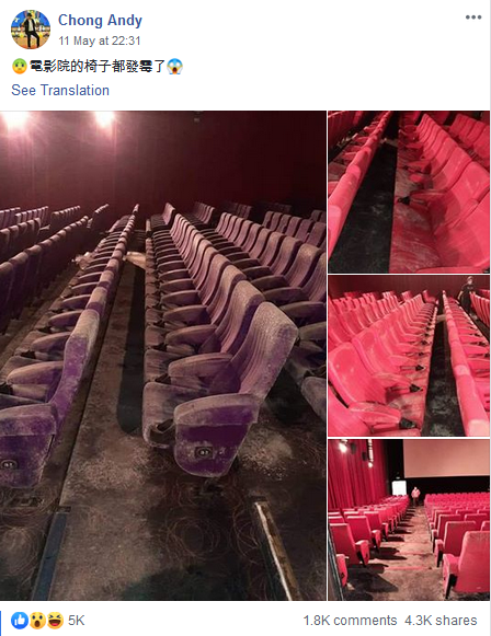 Kursi-kursi Bioskop Dipenuhi Jamur Setelah Lockdown 2 Bulan