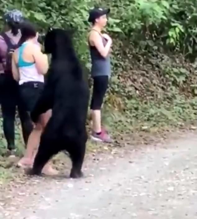 Berani Banget! Wanita ini Selfie Dengan Seekor Beruang Liar