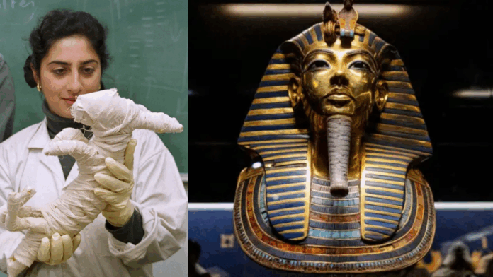 Lama Tersembunyi, Harta Karun Firaun Tutankhamun Untuk Pertama Kalinya Dipamerkan Mesir ke Publik