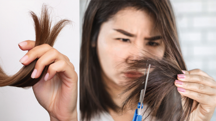 Hal ini Perlu Kamu Ketahui Jika punya Rambut Bercabang !