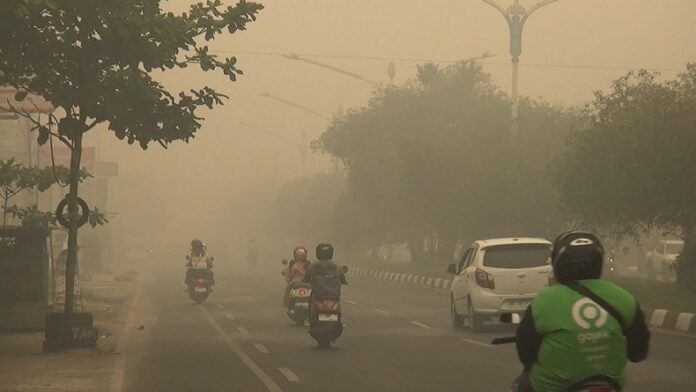 Solidaritas Warga Jambi Menghadapi Asap Karhutla, Kepedulian Kecil yang Berarti Besar