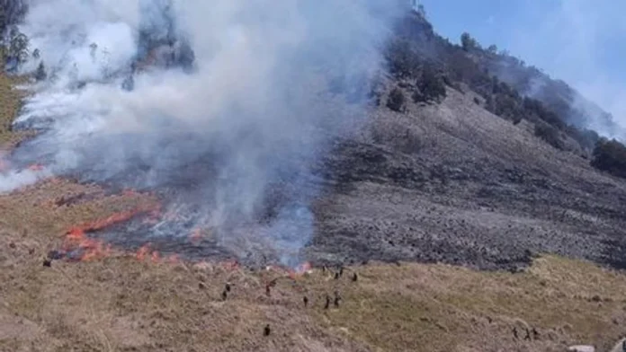 Alarm dari Alam, Ribuan Titik Panas di Sumatera Selatan Picu Kekhawatiran Karhutla